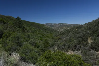 DSC_5890 (Large).JPG